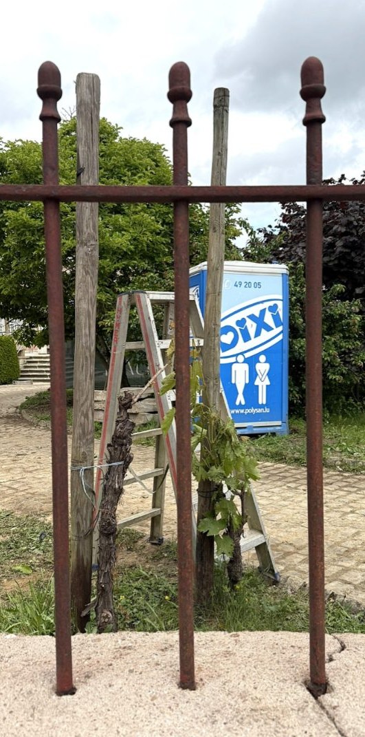 Grille en fer forgé - avant/après décapage cryogénique — après