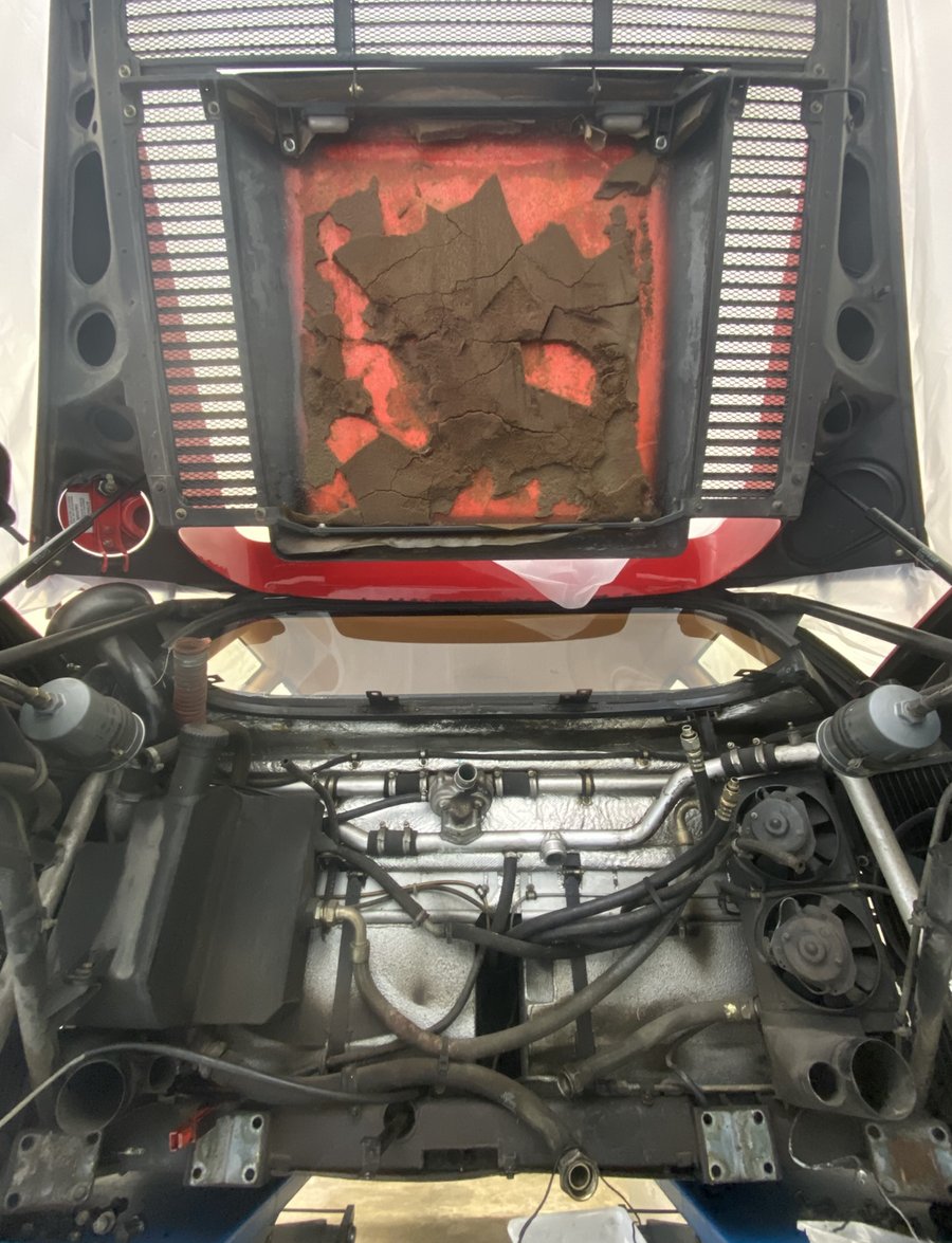 Radiateur & grille avant - avant/après décapage cryogénique — avant